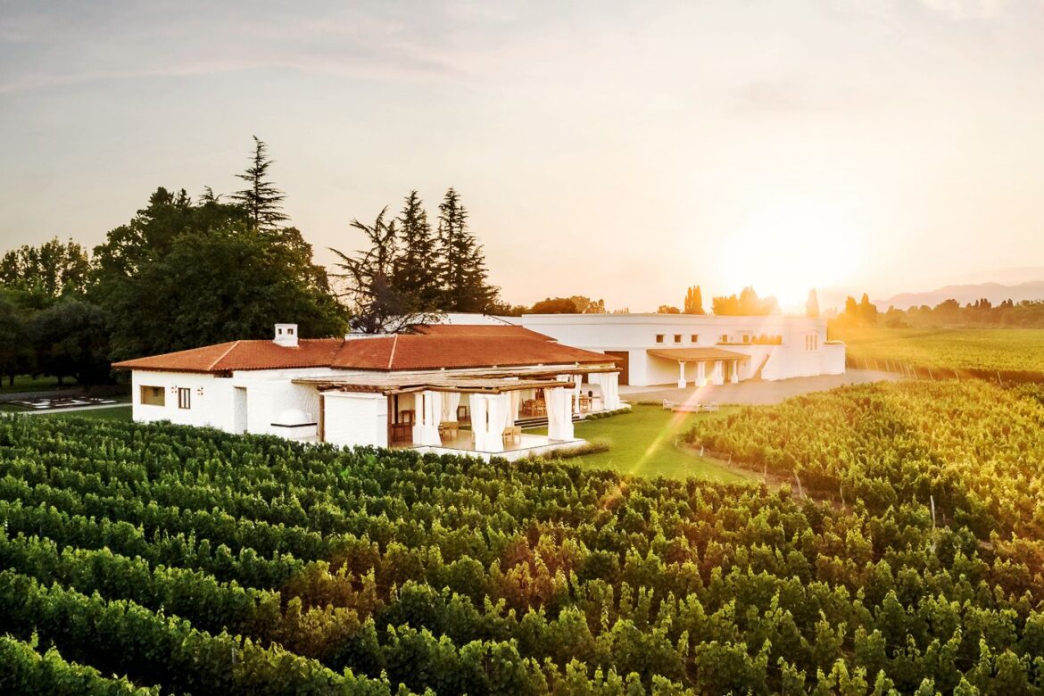 Bodega Nieto Senetiner