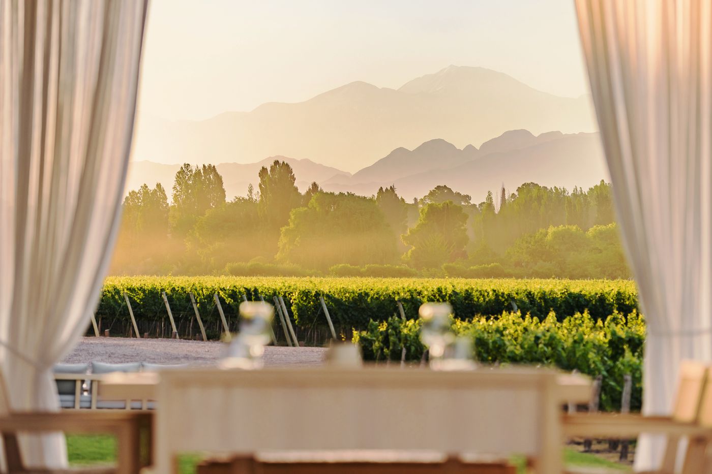 Bodega Nieto Senetiner