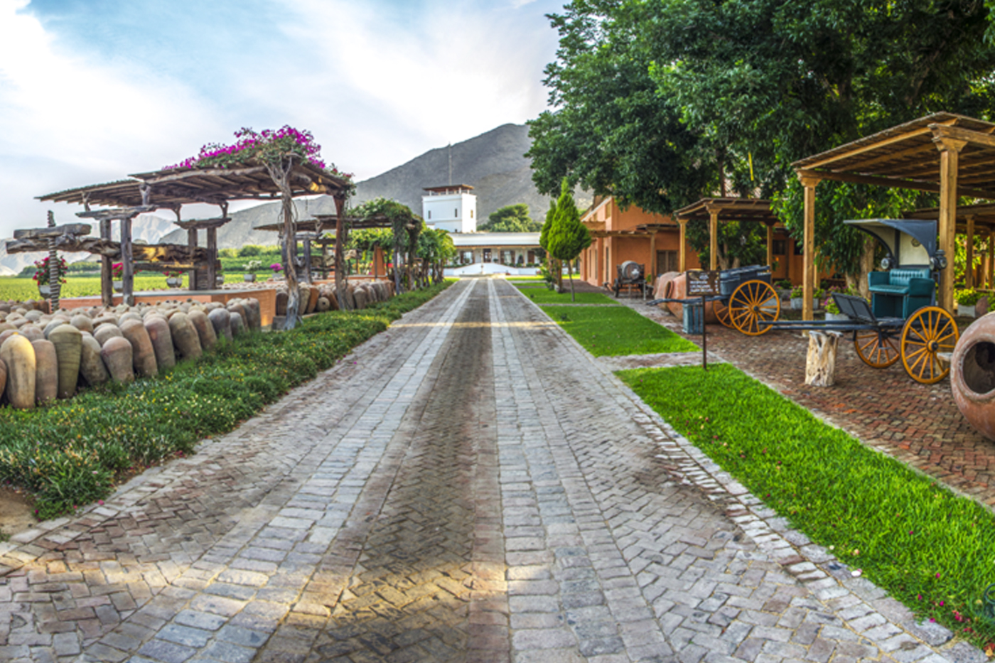 Hotel Viñas