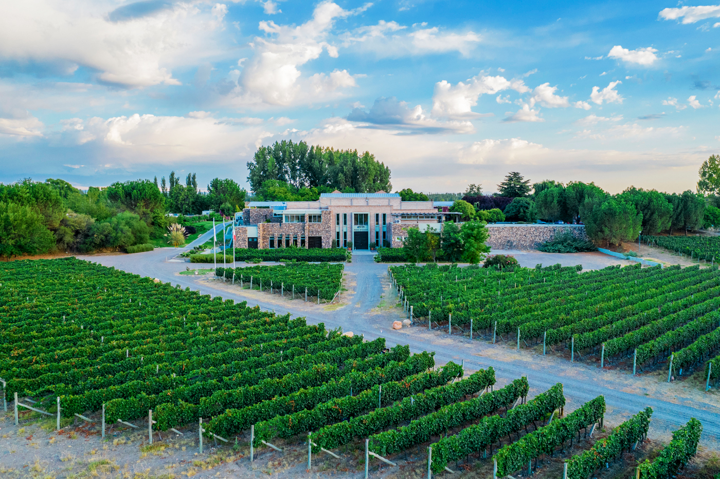 bodegas Bianchi