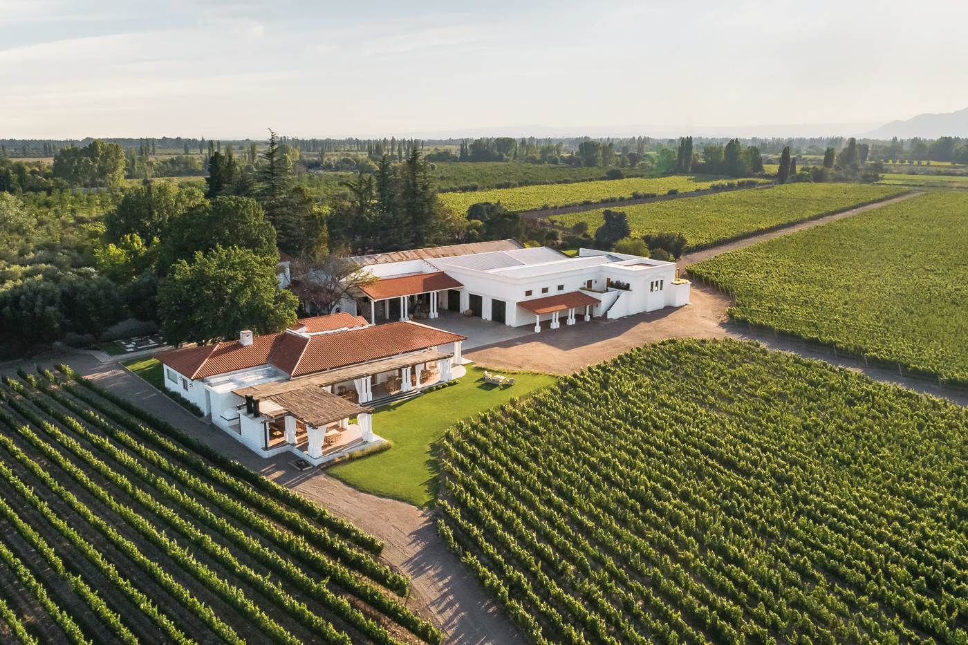 Don Nicanor Malbec