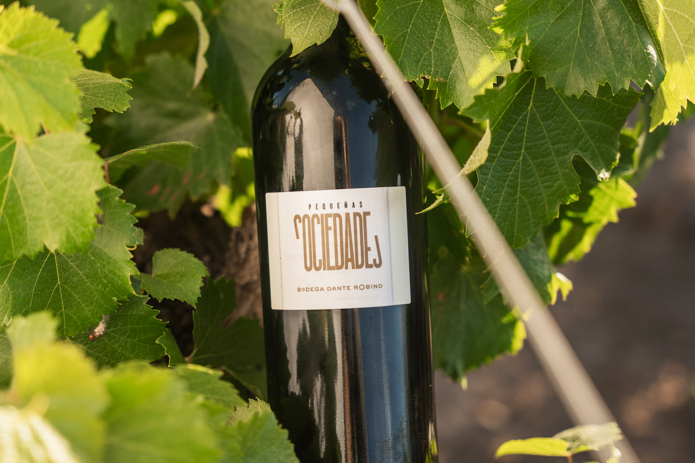 Bodega Dante Robino