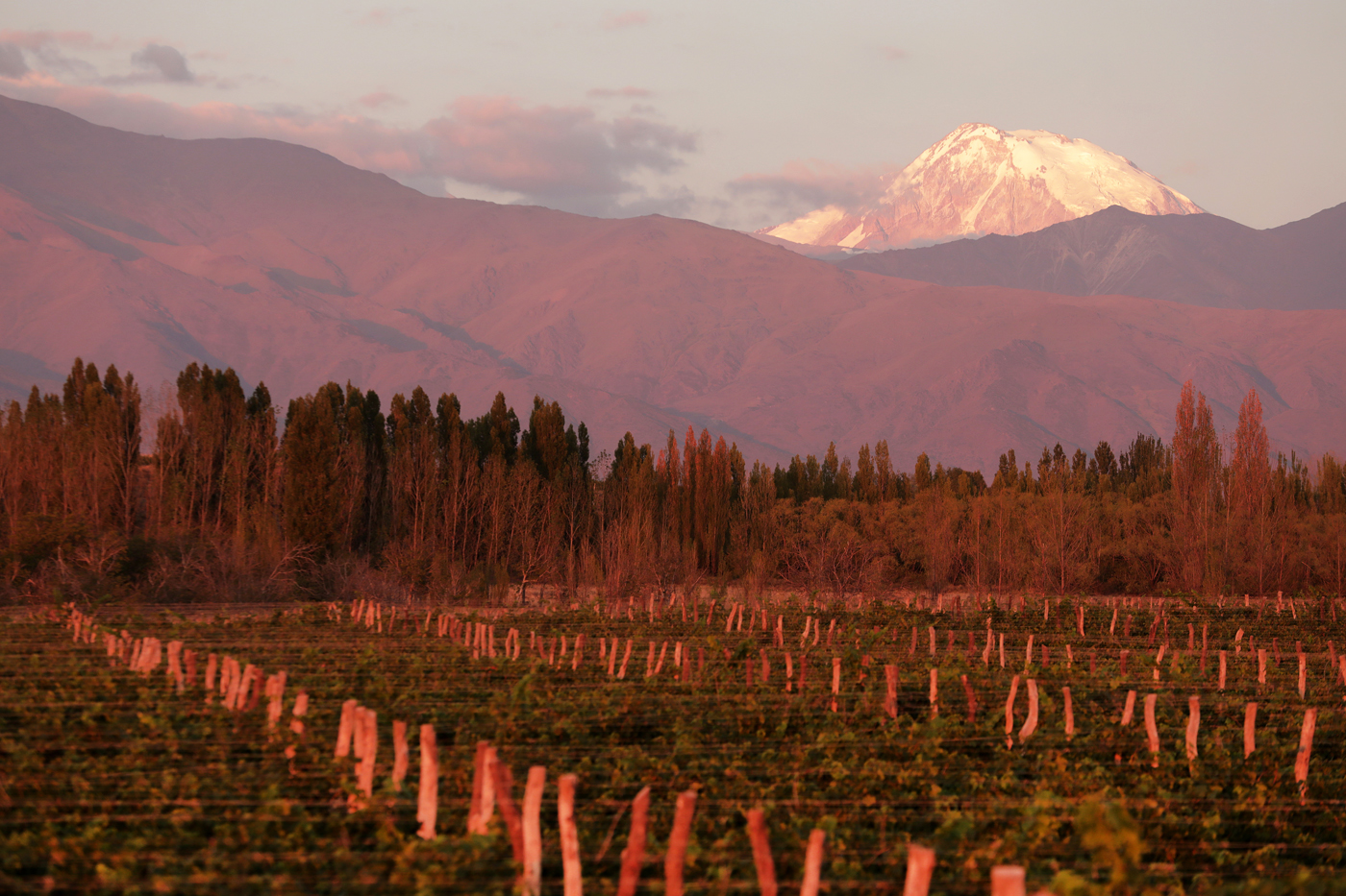 Bodega Viñalba