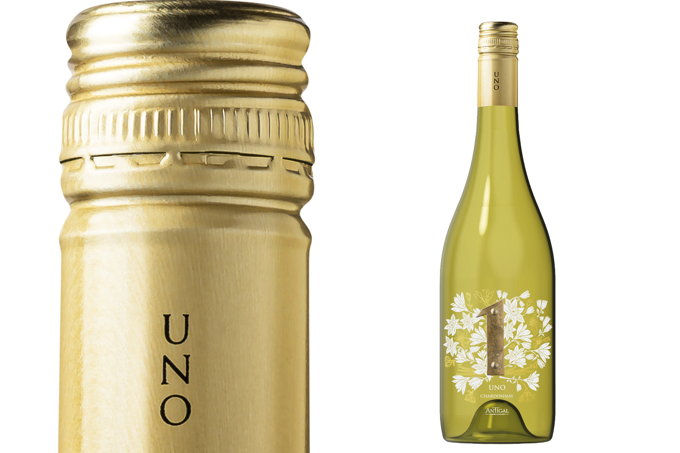 Chardonnay