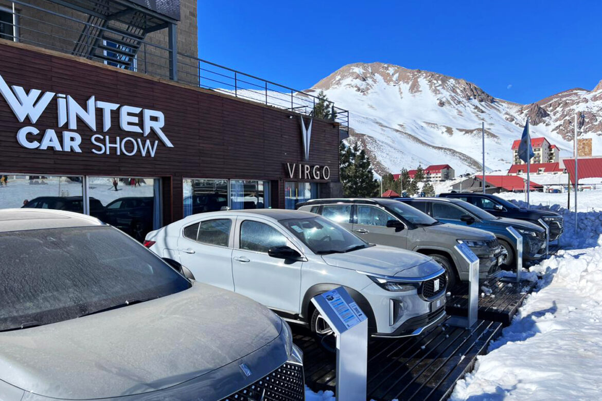 Winter Car Show