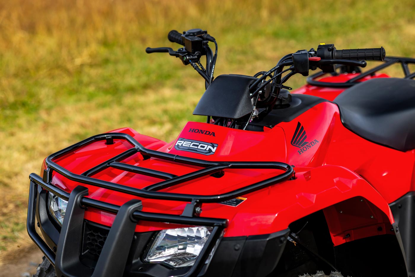 Honda TRX 250 TM