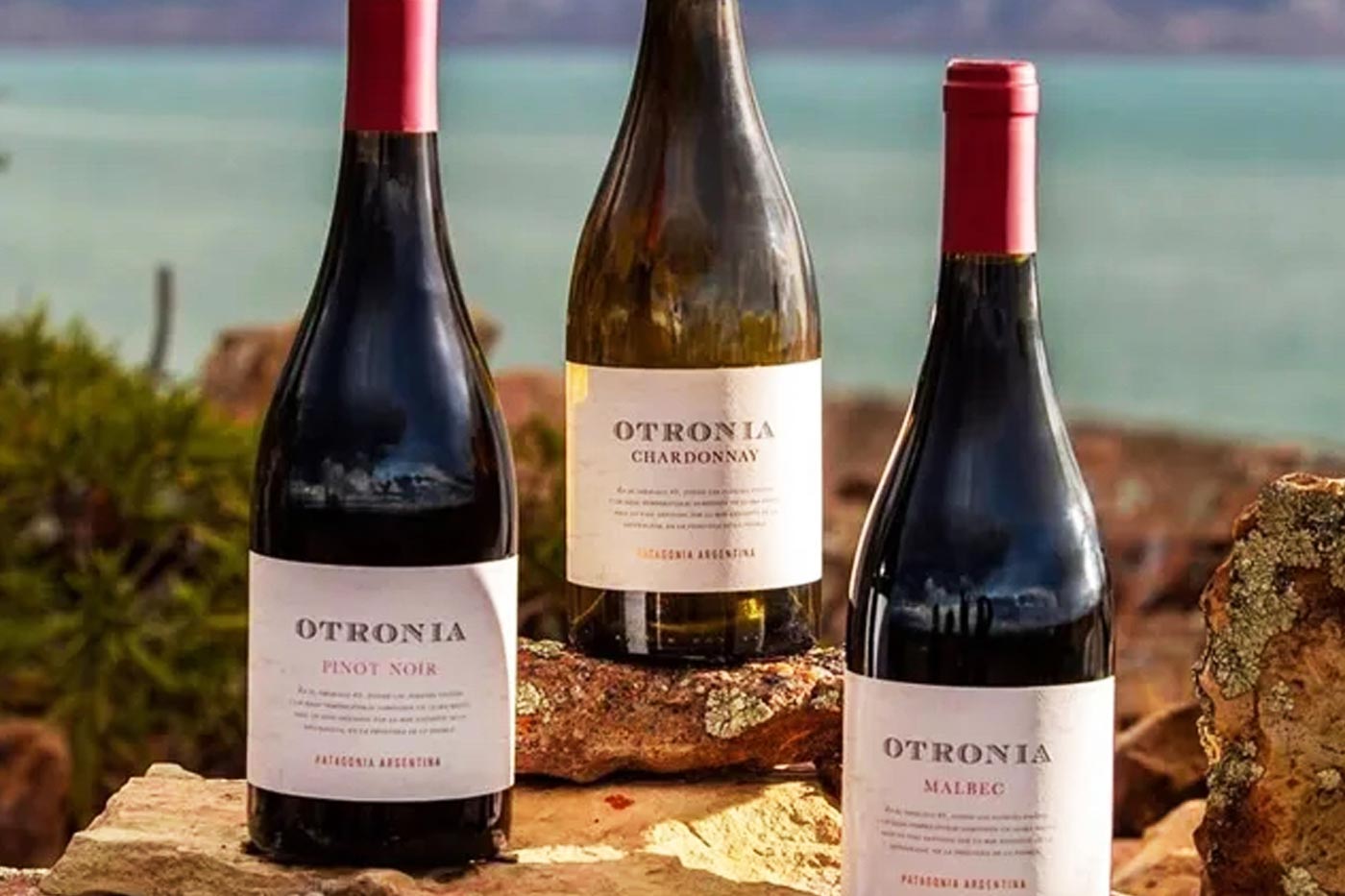 Otronia Pinot Noir
