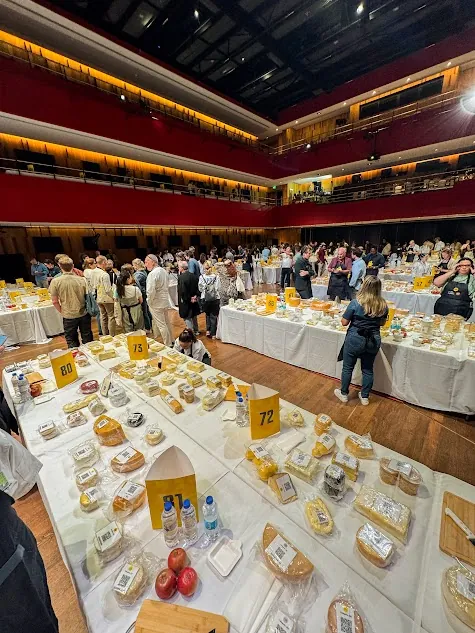 Santa Rosa quesos premiados