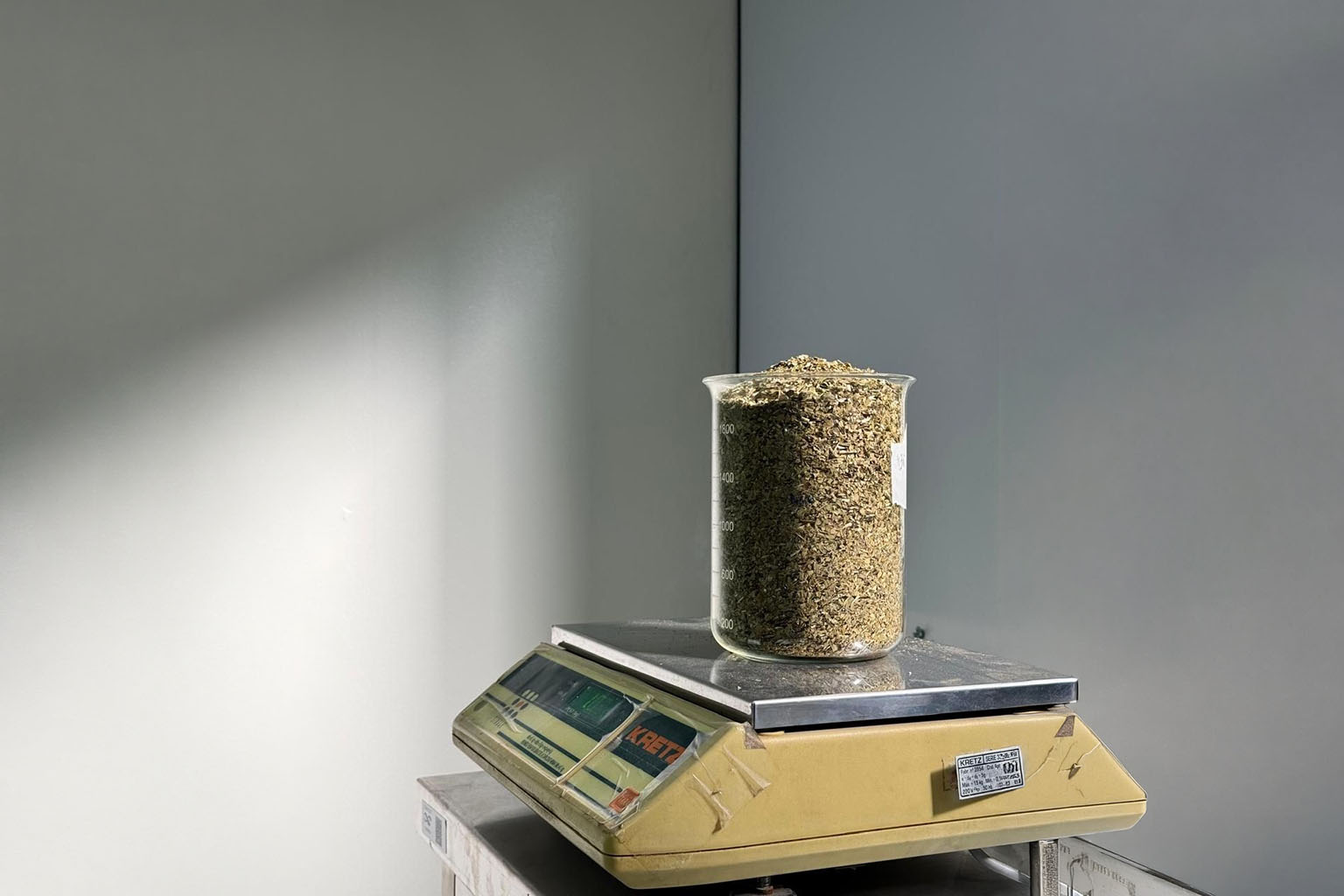 Yerba mate Pro Mate con proteína vegetal