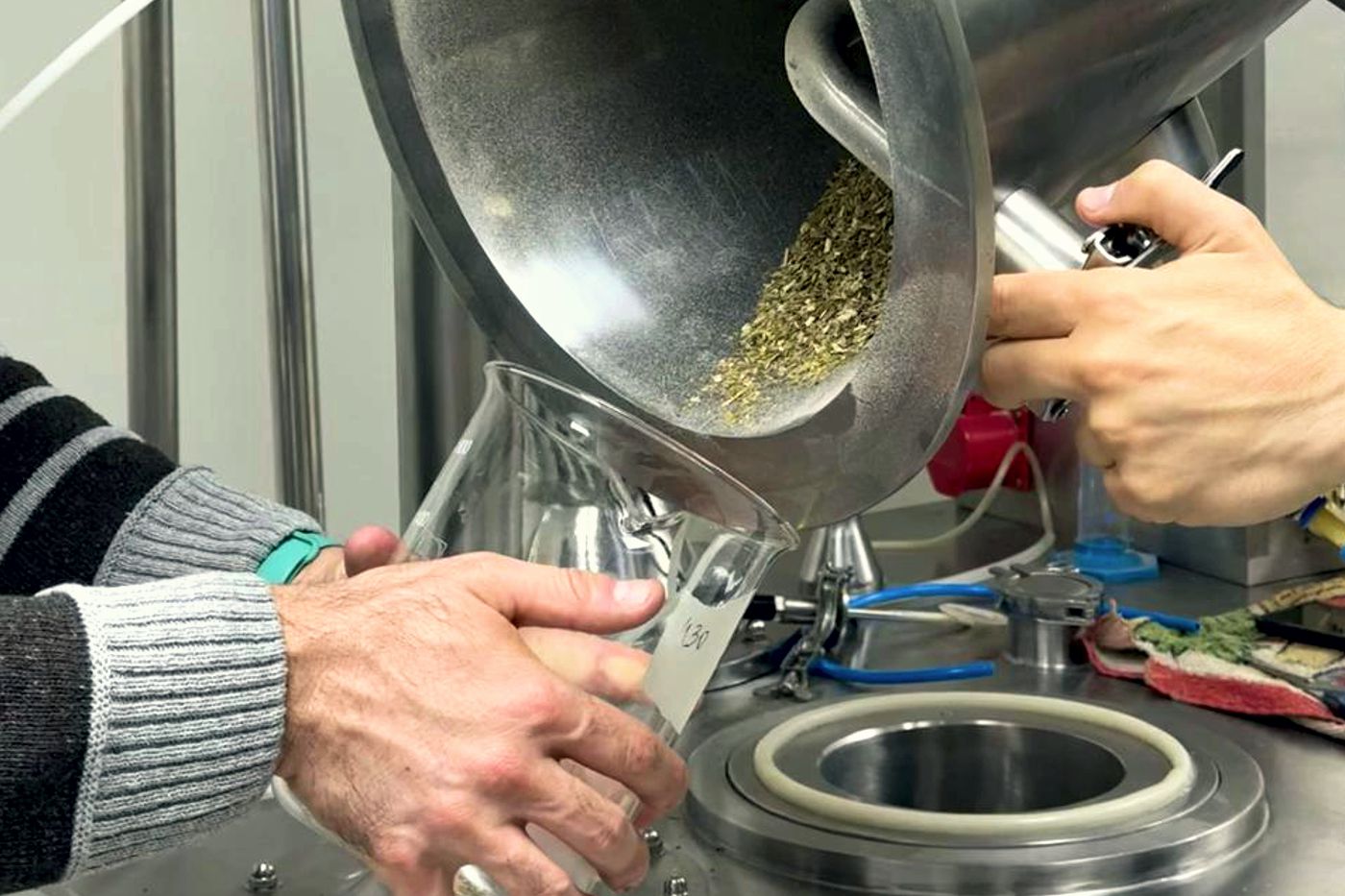 Yerba mate Pro Mate con proteína vegetal